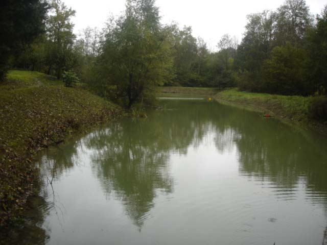 L'étang